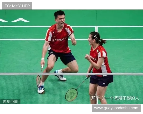 赛后分析：北京羽毛球队与南京羽毛球队技术对决的深度剖析与启示
