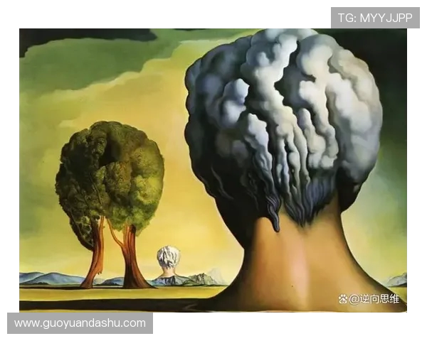 探索奥蓬达的魅力与神秘，揭示其背后的历史与文化之旅