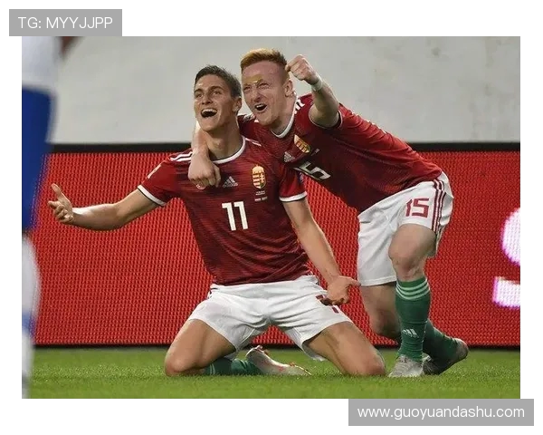 芬兰与匈牙利足球对决前瞻及比分预测分析详解