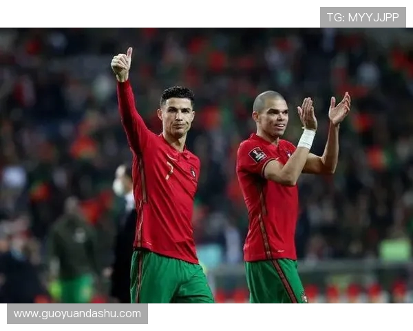 葡萄牙与苏格兰足球对决阵容分析及战术解读