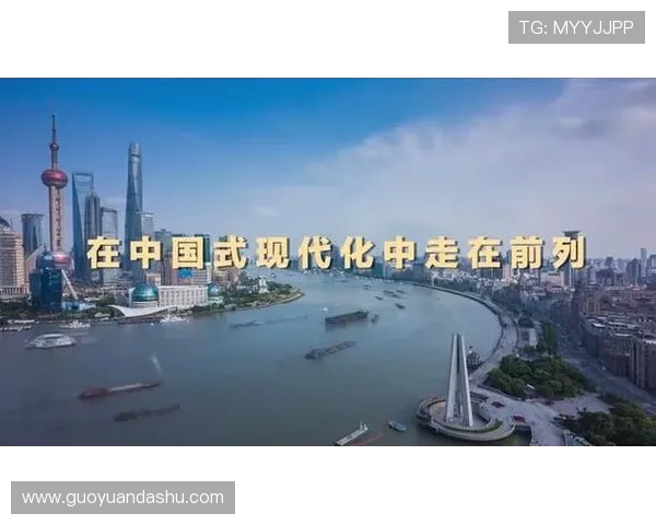 上海滑板队状态对比深度解析与未来发展展望 上海滑板队状态对比深度解析与未来发展展望